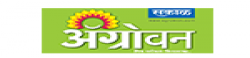 Agrowon (Pune),Agrowon(Pune)newsrank,Agrowon(Pune)news,Agrowon(Pune)newsinformation,IndiaNews,IndiaKhobor,AllIndiaWebsite,newswebsitelist,websitelist,Indiaallwebsitelist,Indiaallnewswebsitelist,Indianewspaperlist,Indiapopularnewsportallist,Indianews,allnewspaper,bdallnewspaper,allbdnewswebsite,Indiatoppopularnewslist
