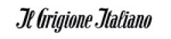 Il Grigione Italiano,IlGrigioneItalianonewsrank,‎IlGrigioneItalianonews,‎IlGrigioneItalianonewsinformation,SwitzerlandNews,SwitzerlandKhobor,AllSwitzerlandWebsite,newswebsitelist,websitelist,Switzerlandallwebsitelist,Switzerlandallnewswebsitelist,Switzerlandnewspaperlist,Switzerlandpopularnewsportallist,Switzerlandnews,allnewspaper,bdallnewspaper,allbdnewswebsite,Switzerlandtoppopularnewslist