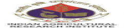 Indian Agricultural Research Institute,Indiaalluniversitylist,Indiaallvarsitylist,university,alluniversitylist,theworldalluniversitylist,universityrank,varsity,varsityuniversity,universitylisting,governmentuniversitylist,privateuniversitylist,nationaluniversitylist,bestnationaluniversity,bestgovernmentuniversity,bestprivateuniversity,popularuniversitylist