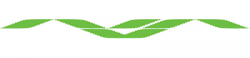 Navsari Agricultural University,Indiaalluniversitylist,Indiaallvarsitylist,university,alluniversitylist,theworldalluniversitylist,universityrank,varsity,varsityuniversity,universitylisting,governmentuniversitylist,privateuniversitylist,nationaluniversitylist,bestnationaluniversity,bestgovernmentuniversity,bestprivateuniversity,popularuniversitylist