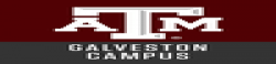 Texas A&M University at Galveston,UnitedStatesalluniversitylist,UnitedStatesallvarsitylist,university,alluniversitylist,theworldalluniversitylist,universityrank,varsity,varsityuniversity,universitylisting,governmentuniversitylist,privateuniversitylist,nationaluniversitylist,bestnationaluniversity,bestgovernmentuniversity,bestprivateuniversity,popularuniversitylist