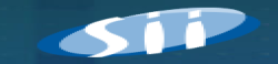 SiiSp.zo.o.,ITConsulting,SoftwareDevelopment,DigitalTransformation,TechnologySolutions,ITOutsourcing