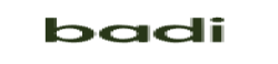 Badisoftwaresolutions,propertymanagementsoftware,realestatetech,apartmentrentalsolutions,digitalpropertyservices