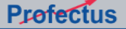 ProfectusSystems,complianceautomation,financialanalytics,expensemanagement,audittechnology,revenueassurance,AI-drivenfinancesolutions,riskmanagement,enterprisesoftware,digitaltransformation,ITconsulting