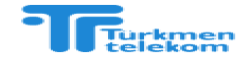 Turkmentelecom,telecommunicationsTurkmenistan,ITsolutions,digitalservices,networkinfrastructure,cloudcomputing,softwaredevelopment
