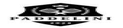 PremiumPickleballGear,StylishPaddleAccessories,High-PerformancePaddles
